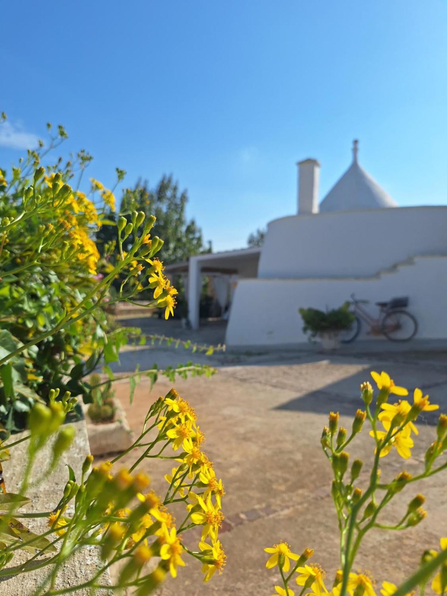 Holiday Home Trullo Antico Ostuni Eksteriør bilde